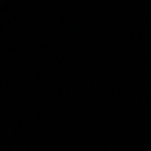 Meet your Posher, Rodney